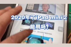 100多的ipadmini2它能用吗？