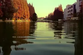 华东师范大学宣传片（英文版）视频封面