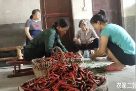 湖南老坛酸辣椒的腌制方法，最后一步是关键，放2年都不掉柄不烂