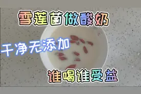 还在喝有增稠剂的酸奶吗？雪莲菌做酸奶，卫生无添加，谁喝谁受益视频封面