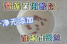 还在喝有增稠剂的酸奶吗？雪莲菌做酸奶，卫生无添加，谁喝谁受益