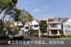 上海农民统一自建别墅，全国乡村的典范，屋后一条河，一片樱花林视频封面