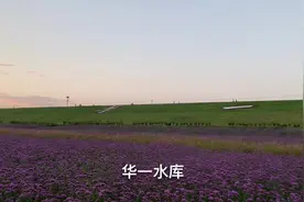 妈妈亲自动手给宝宝理发，两岁宝宝超配合！