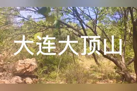 大连大顶山视频封面