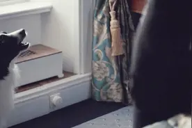 未来世界歧视单身，一个月找不到伴侣，就会变成狗