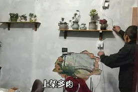 腊月二十九下雨天，日历上说诸事不宜，看他能闲得住吗？视频封面