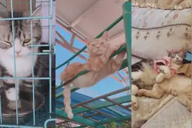 你这个姿势是认真的吗？？