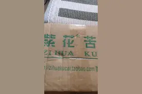 听说紫花苦茶可以治胃病，是不是真的？有没有人知道的？视频封面