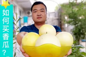 如何挑选又香又甜香瓜？农村小伙教你几种方法，简单实用一学就会视频封面