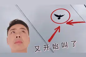 叫声像婴儿哭，老人叫他“报丧鸟”叫起来就会有人去世视频封面