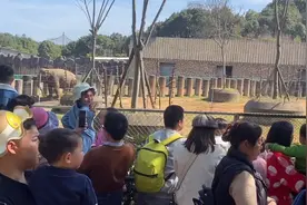 长沙最火爆的旅游胜地之一，实拍湖南长沙生态动物园，人山人海