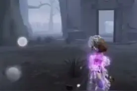 粉丝小福利~粉丝里抽两个人送随机紫挂