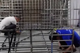 防盗网顶上的挡雨板一到下雨就吵的让人心烦，用一块地毯完美解决视频封面