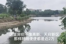 实地探访双流东升板块8500亩湿地公园，也是是城南的房价洼地！视频封面