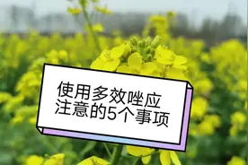 多效唑使用需小心，五个事项要注意