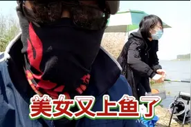 钓鱼新收一美女徒弟，本以为是个青铜，原来是个王者视频封面