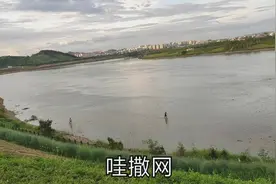 很多北方人来南宁，到邕江里撒网捞鱼，现在不是禁渔期吗视频封面