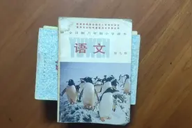 80年代北京小学语文课本第九册视频封面