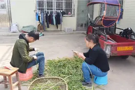 丢弃的生姜秧在湖南人的手中变美食，夫妻俩花几个小时才制作完成