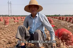 河南农民种植700多亩大蒜，亩产2000斤，6毛一斤每亩能赚多少钱？