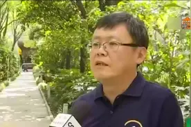去迪士尼不让带零食，迪士尼翻包检查，涉嫌侵犯个人隐私权视频封面