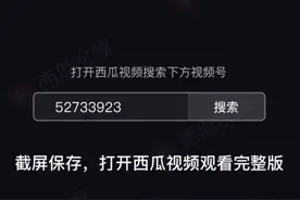方舟生存进化所有代码。视频封面