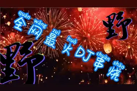 全网最火DJ串烧嗨曲，