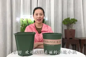 养花最流行的两种花盆，好用又不贵，养花长势爆盆视频封面