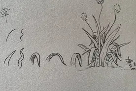 草怎么画？手绘教你画草详细教程来了，风景速写