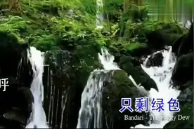 今年抖音很火的歌《绿色》，歌词写进了人们的内心，感同身受。