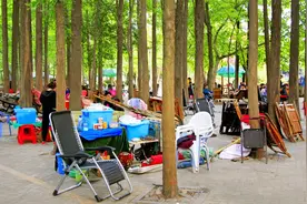信阳也有成都的悠闲：公园茶座10元一位，好多人在打牌聊天