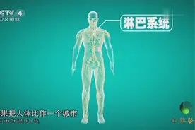 人体内除了遍布的血管外，还有淋巴系统，它的作用你知道吗？