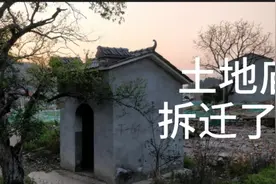 土地庙要拆迁，现在有百年古树陪着它，但不能一起移到风水宝地啊视频封面