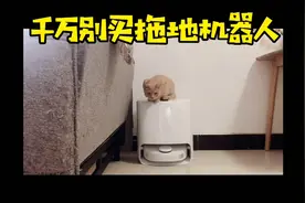 Vlog好物分享 | 千万别买拖地机器人，有他在家你就…视频封面