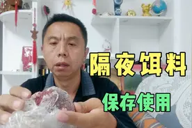 隔夜饵料是否可用？只要保存方法得当，效果一点也不比刚开的差视频封面