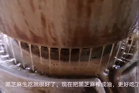 黑芝麻油！大平带大家看看黑芝麻油的详细制作过程！