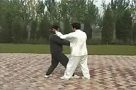 祈家通背拳___二十四式(1)