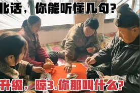 东北农村妇女玩扑克，赢的拍大腿笑输的也蔫，不赢钱打的还挺激烈视频封面