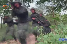 武警湖北总队：53个课目锤炼特战官兵反恐能力视频封面