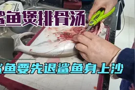 鲨鱼煲排骨汤估计大多数人都没有吃过视频封面