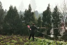 四川南充，为了阻止野鸟来菜园子，做了个赶鸟的稻草人，看了别笑