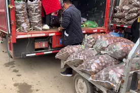 在批发市场买1000斤芋头，和摆摊老板还还价，看看到底多少钱一斤视频封面