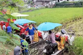 2019年四川丘陵地区小型水稻收割机演示现场会（宜宾市江安县）视频封面