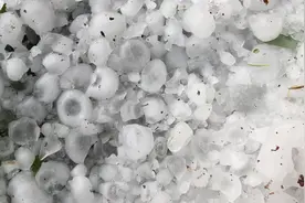 山东泰安6月发生极端天气，十级大风加冰雹，庄稼遭殃了视频封面
