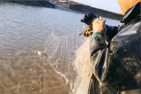 海边常用的两种粘网，对比一下捕鱼效果视频封面