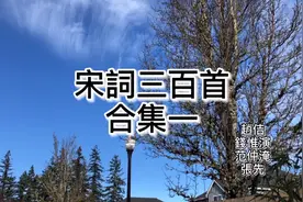 粤语朗读宋词三百首，赵佶、钱惟演、范仲淹、张先合集视频封面