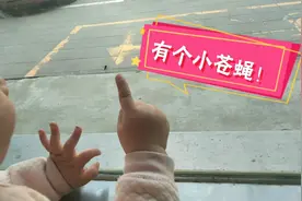 11个月宝宝怎么这样睡觉啊？醒了再窗户逮到一只小苍蝇玩半天