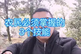 农民，除了勤劳可以致富，还需要掌握3个技能。视频封面
