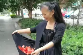 木棉花的药用价值视频封面