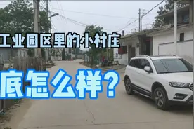 从海岱街到孟家楼，一起来看看龙口工业园区里的小村庄怎么样？视频封面
